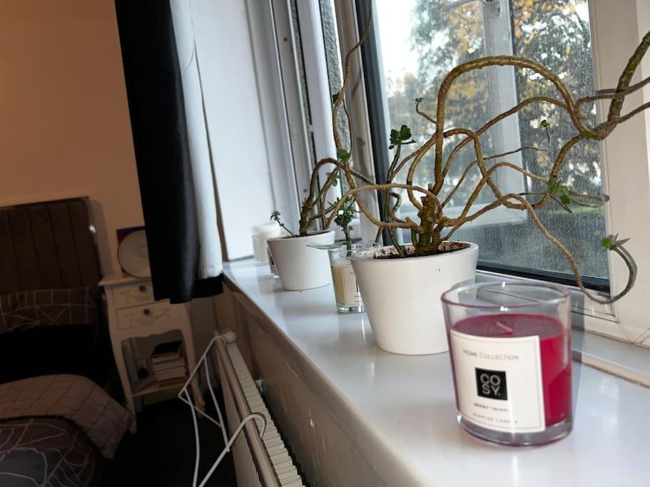 1-Bed Flat With Fast Wi-Fi In Prime Location 15Mins From Central London Exterior photo